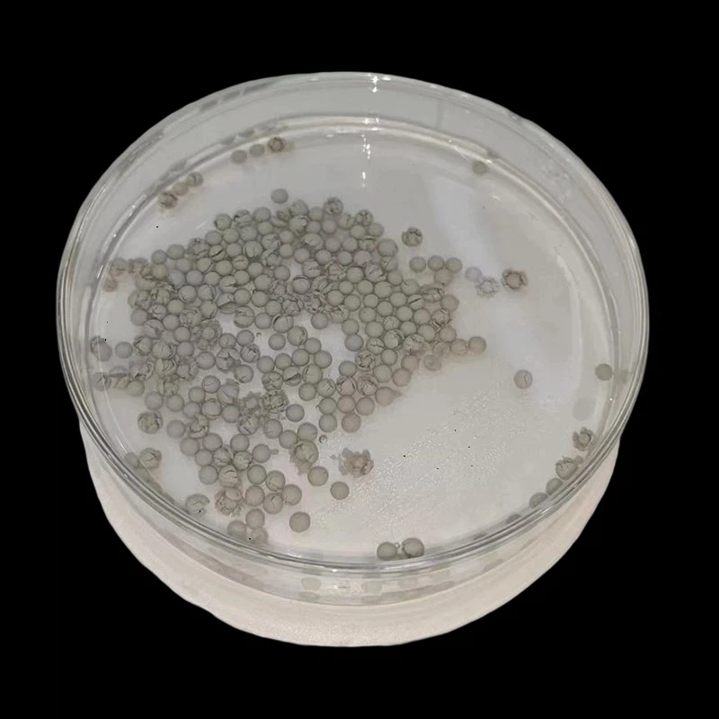 Koja je razlika između sphagnum mahovine i regeneratora tla?