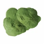 Morska trava u prahu